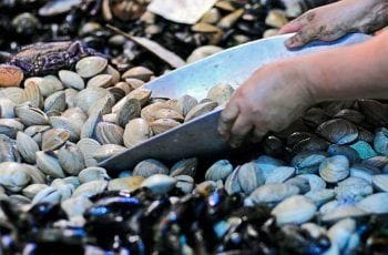 Recetas chilenas con mariscos fáciles y rápidas Recetas chilenas con mariscos fáciles y rápidas