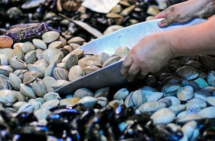 Recetas con mariscos fáciles y rápidas - Comidas Chilenas