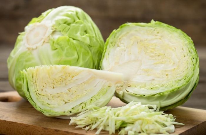 Recetas con repollo fáciles y rápidas - Comidas Chilenas