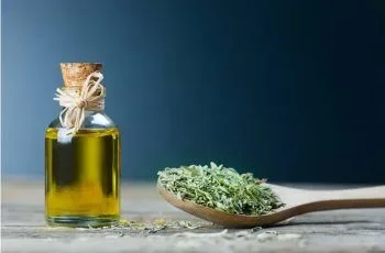 Receta de aceite de orégano oro ¿Cómo prepararlo naturalmente en casa?