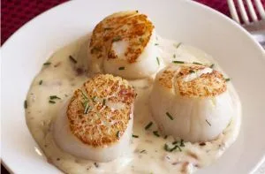 Receta de ostiones a la crema - Comidas Chilenas