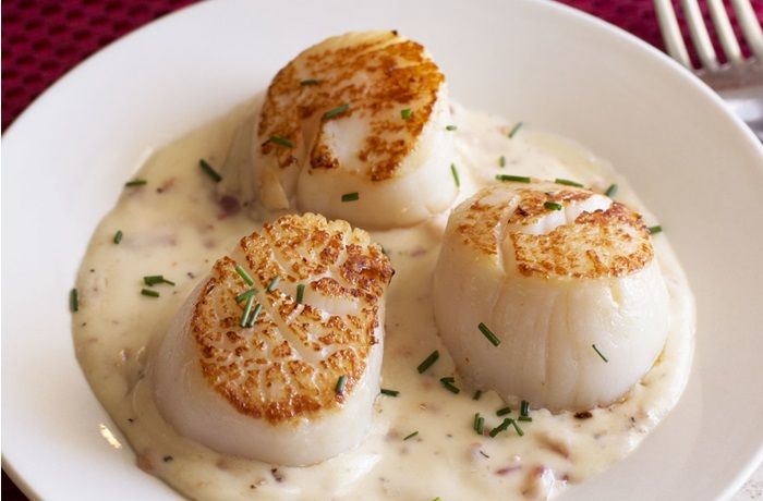 Receta de ostiones a la crema - Comidas Chilenas