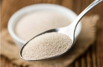 Explorando los beneficios de la Levadura de Cerveza: Un tesoro nutricional en tu dieta Explorando los beneficios de la Levadura de Cerveza: Un tesoro nutricional en tu dieta