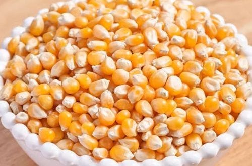 Receta de cabritas (palomitas) saladas con mantequilla y un toque de merkén 2 Maíz cabritas