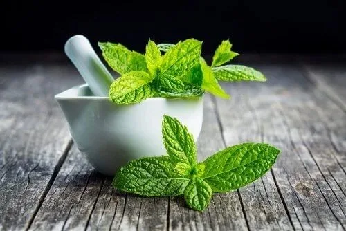 Hojas de menta fresca, usadas como hierba aromática opcional para acompañar el café de maqui.