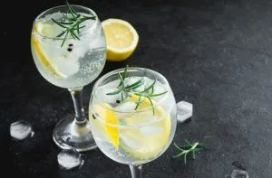 Receta de Gin Tonic Inglés
