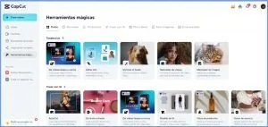 Realza la imaginación y crea imágenes sin límites: Elimina fondos con CapCut online 2 CapCut 4