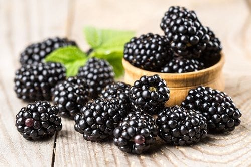 Moras o murras chilenas