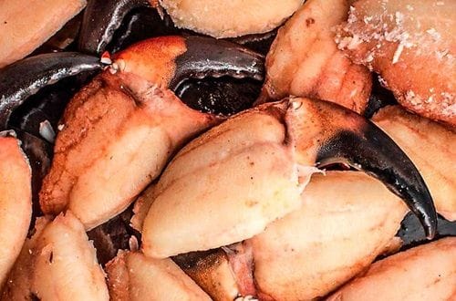 Pinzas de jaiba Pinzas de jaiba chilena frescas, listas para la cocción en agua con sal.