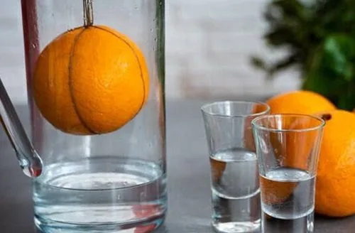 Preparando la infusión de naranja Naranja orgánica suspendida dentro de frasco de vidrio con vodka, método de infusión por vapor