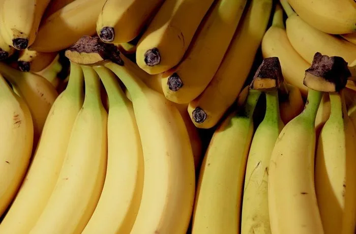 Plátanos Plátanos maduros y firme por la mitad para la base del banana split