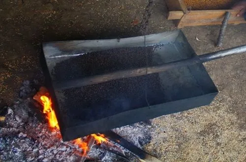 Bayas de maqui tostándose en una callana mapuche (sartén de greda o metal), sobre una fuente de calor.