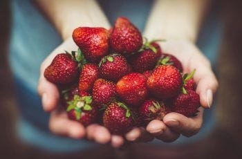 4 claves logísticas para una producción frutícola con calidad, gestión y trazabilidad 4 claves logísticas para una producción frutícola con calidad, gestión y trazabilidad