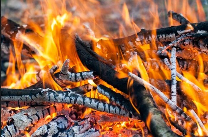 Carbón de leña Fuego y maderas ardiendo preparandose para el asado de cordero.
