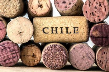 Radiografía del consumidor ¿Cómo se relacionan los chilenos con el vino? Radiografía del consumidor ¿Cómo se relacionan los chilenos con el vino?