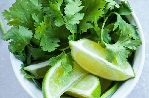 Cilantro y limón Cilantro fresco picado junto a limones. Hierbas y cítricos esenciales para el sabor del mojo de ajo chileno.