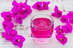 Recetas de bebidas típicas de Chile 19 Agua de bugambilia