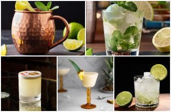 Reinventando 5 cócteles tradicionales con gin chileno premium Reinventando 5 cócteles tradicionales con gin chileno premium