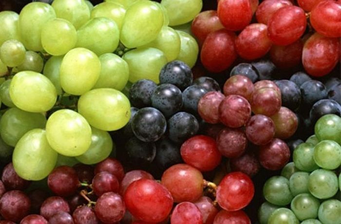 Investigadores chilenos desarrollan tecnología para controlar descomposición de las frutas 1 Uvas de mesa