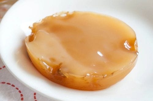 SCOBY Cultivo SCOBY (Symbiotic Culture Of Bacteria and Yeast), clave para la fermentación de la kombucha