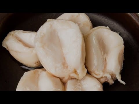 Locos chilenos en conserva listos para ser usados en el risotto.