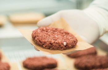 ¿Qué es la carne vegetal? Alternativas y usos en la cocina moderna ¿Qué es la carne vegetal? Alternativas y usos en la cocina moderna