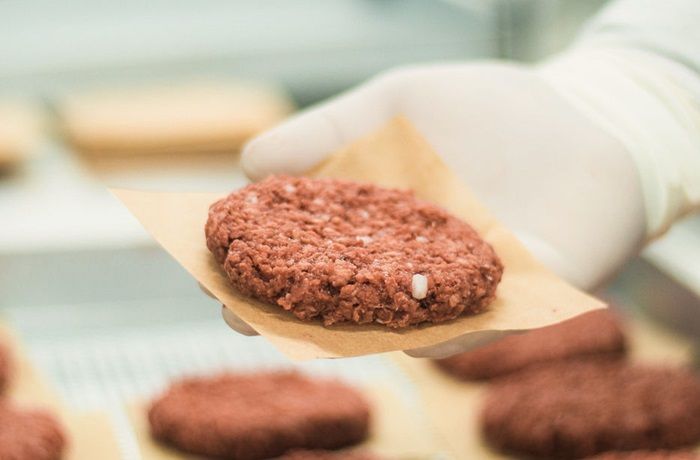 ¿Qué es la carne vegetal? Alternativas y usos en la cocina moderna 1 Carnes vegetales