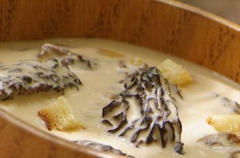 Morillas chilenas a la crema: Receta tradicional para disfrutar de este tesoro del bosque Morillas chilenas a la crema: Receta tradicional para disfrutar de este tesoro del bosque