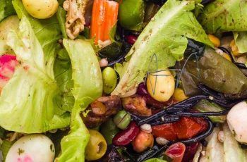 ¿Por qué en Chile se desperdician más de 5 millones de toneladas de alimentos cada año? ¿Por qué en Chile se desperdician más de 5 millones de toneladas de alimentos cada año?