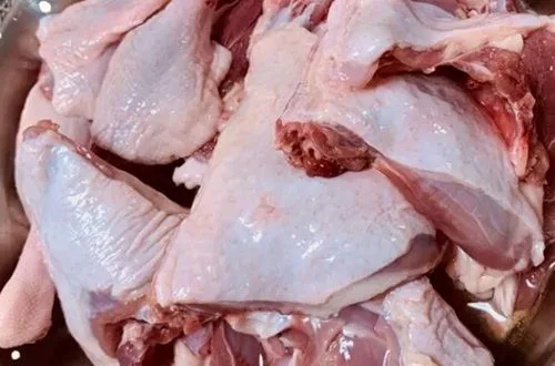 Carne de caiquén trozada lista para la cocción lenta del guiso.