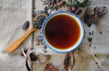 Adagio Teas y accesorios para disfrutar el té: Sabores, rituales y detalles que marcan diferencia