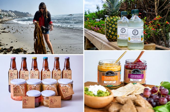 alimentos fermentados artesanales chilenos: tempeh, kimchi, chucrut y kombucha