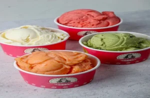 Recetas chilenas: platos típicos y tradicionales de Chile 13 Los sabores con identidad local que están transformando el mercado del helado en Chile