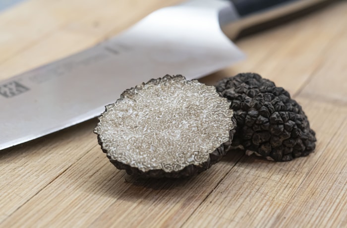 Trufa negra en Chile: ¿Qué es, cómo usarla y dónde conseguirla? 1 Trufa negra fresca del bosque chileno, el diamante negro de la gastronomía