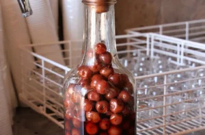 Enguindado casero en copita con guindas maceradas, receta chilena de licor de guindas